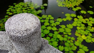 Close-up of textured stonework and delicate water ripples in a custom-designed garden pond.
