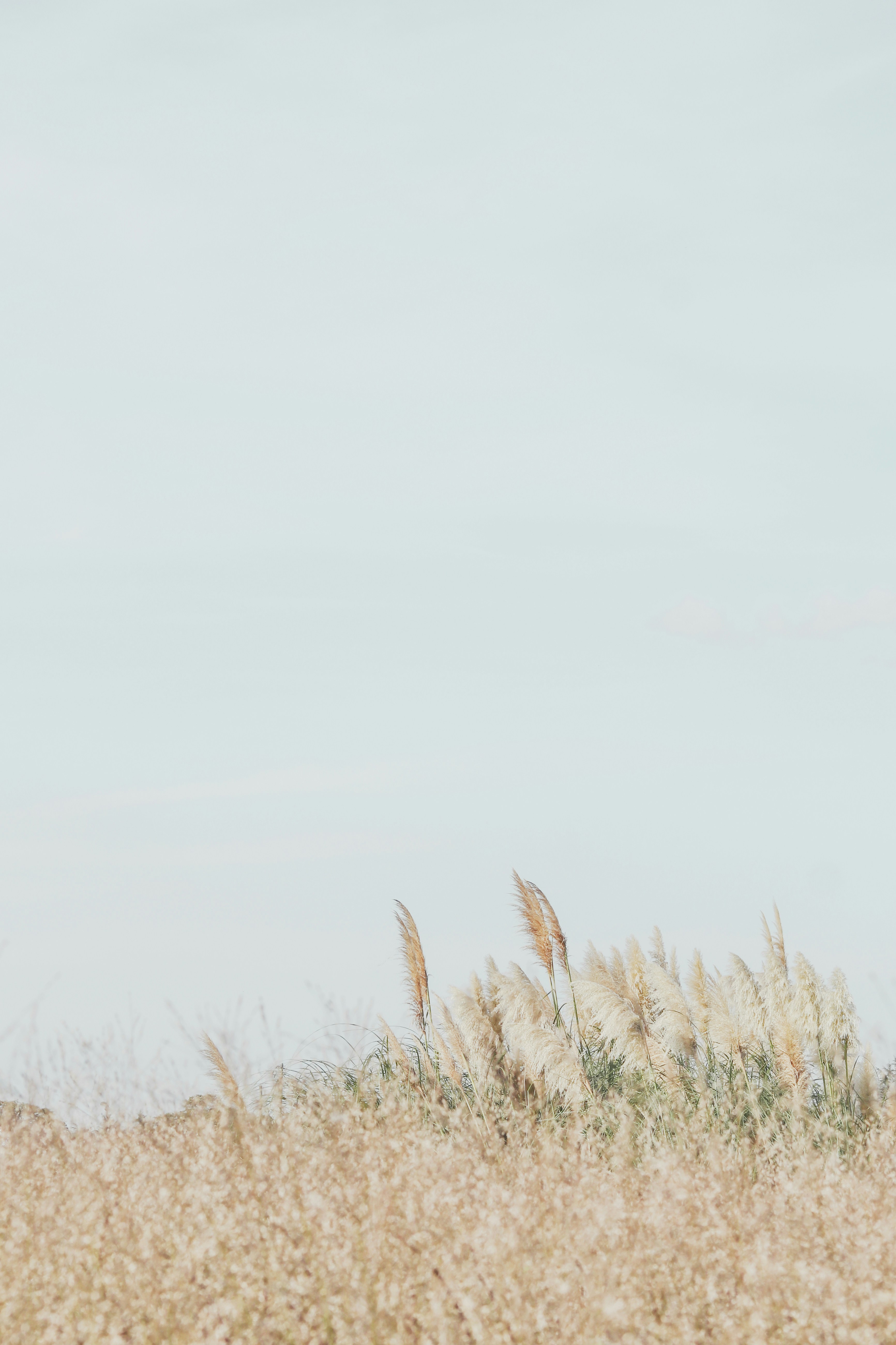 Photo by babybluecat