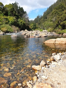 river in between green trees during daytime