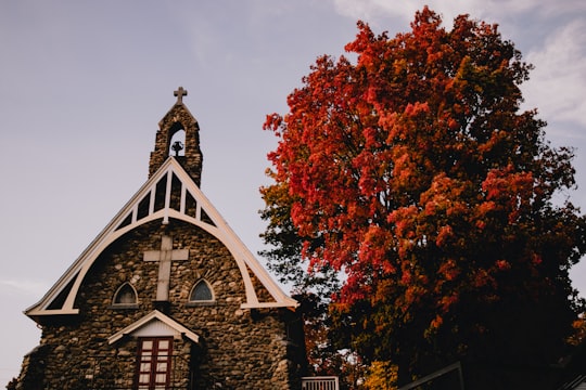 brown wooden house with red leaves on top in Cantons-de-l'Est Canada