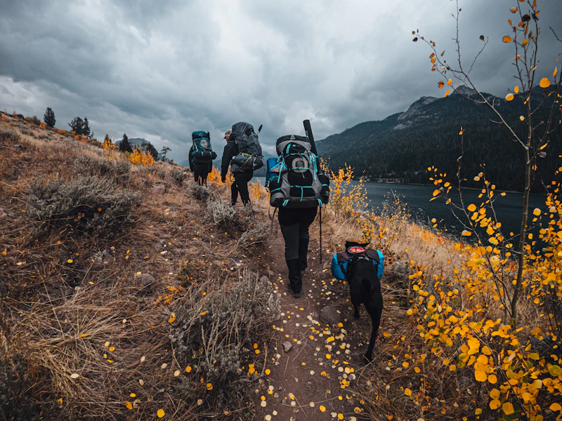 Three friends hiking up a mountain