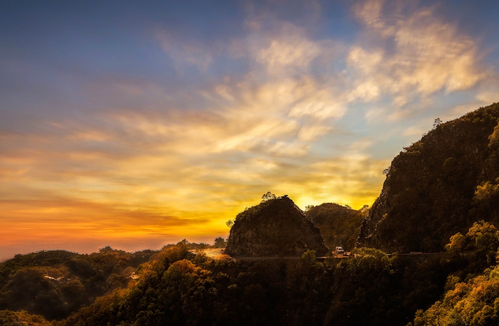 green trees on mountain during sunset