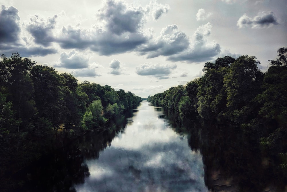 green trees beside river under cloudy sky during daytime