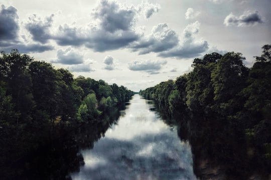 green trees beside river under cloudy sky during daytime in Tegel Germany