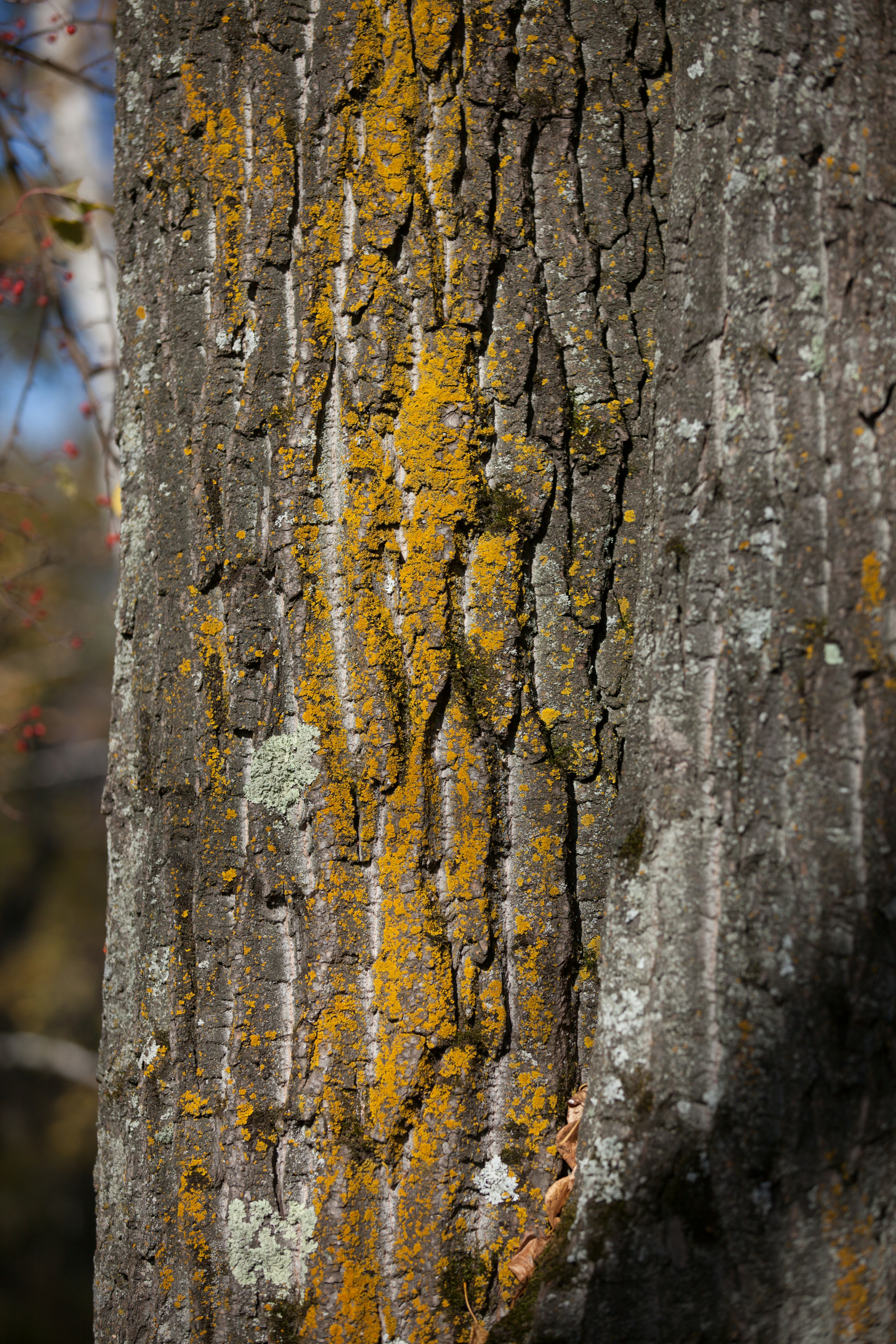 Photo by anamnesis33