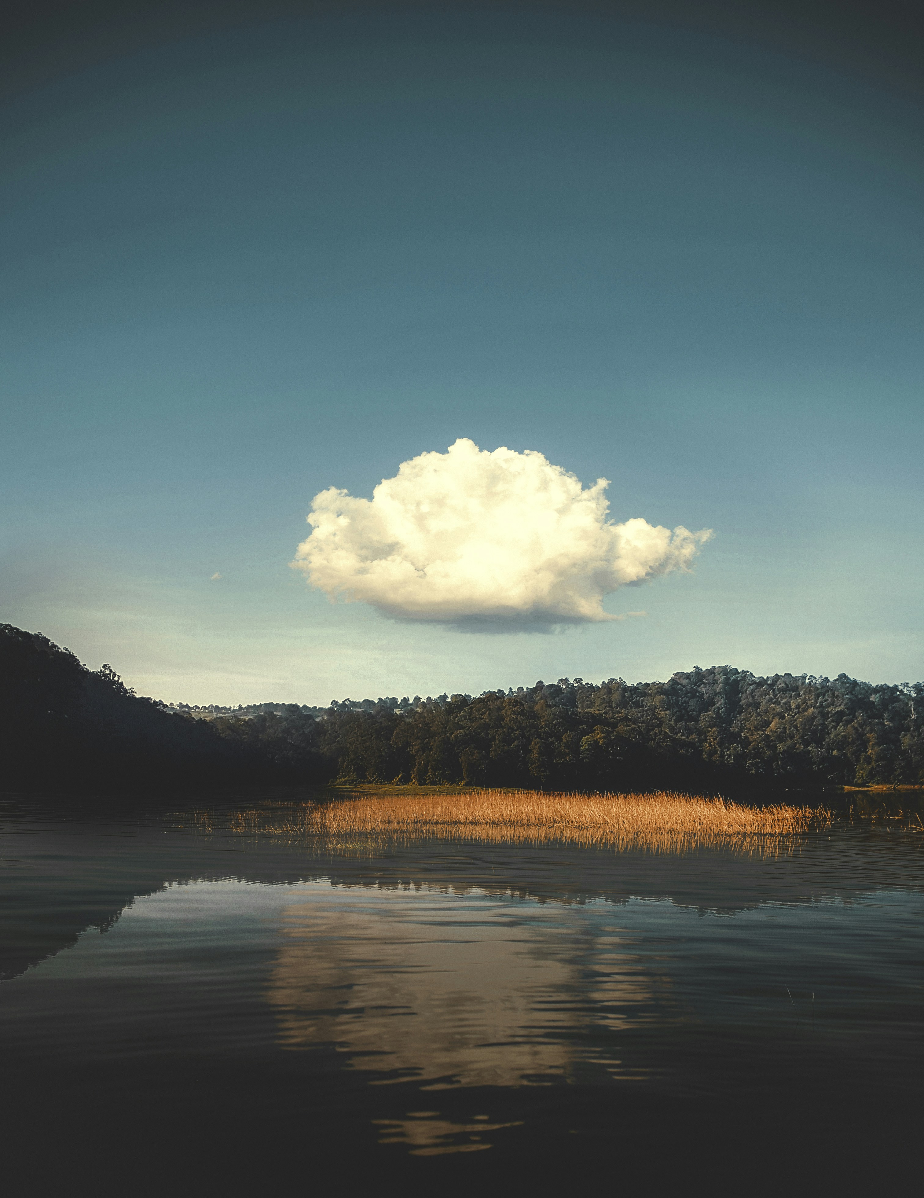 Choose from a curated selection of cloud photos. Always free on Unsplash.