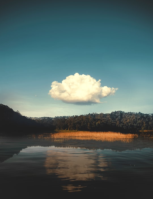 body of water near trees under blue sky during daytime in Situ Patenggang Indonesia