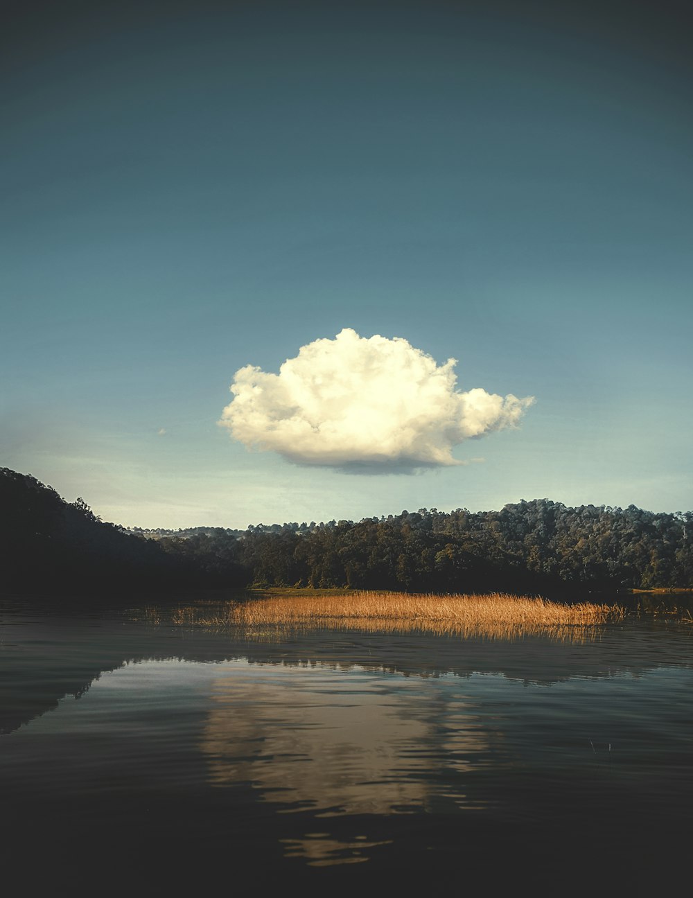 Gewässer in der Nähe von Bäumen unter blauem Himmel während des Tages