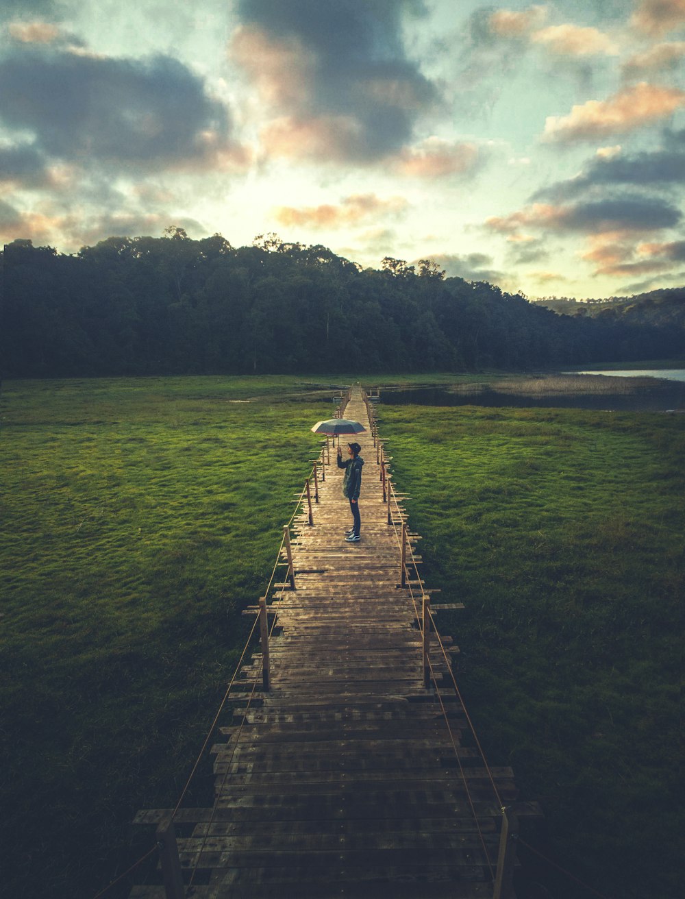 brown wooden dock on lake during daytime