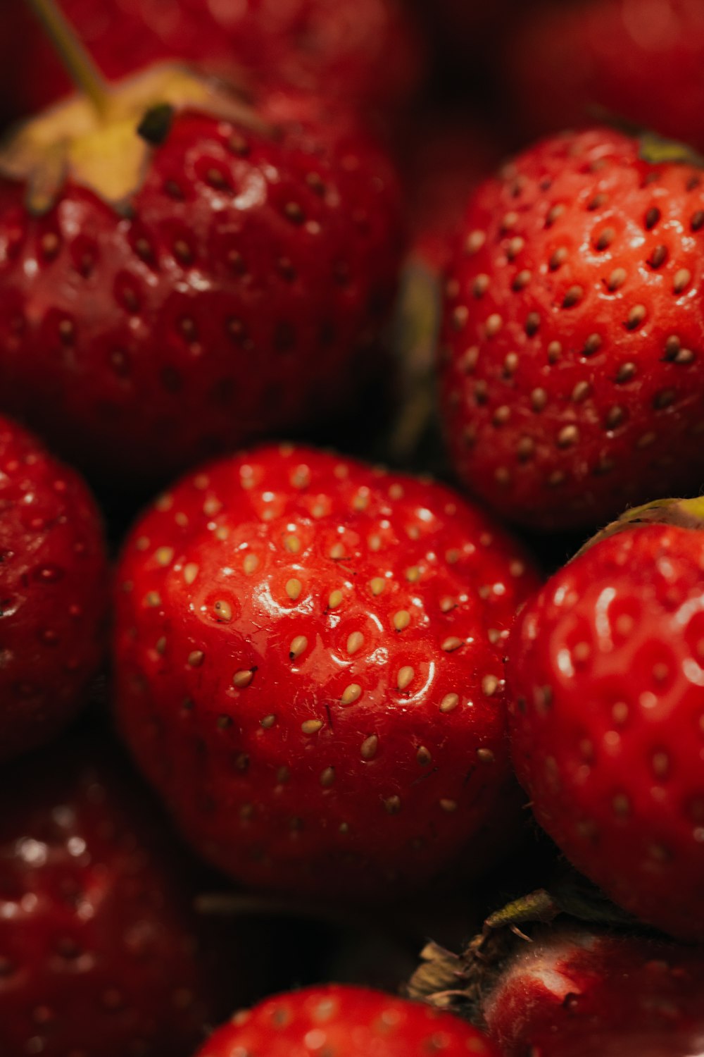 red strawberries in macro lens