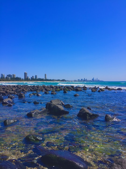 body of water under blue sky during daytime in Burleigh Head National Park Australia