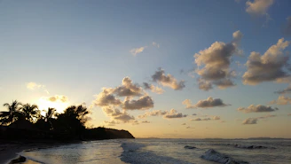 Serene palm beach at sunset with gentle waves and clear skies.