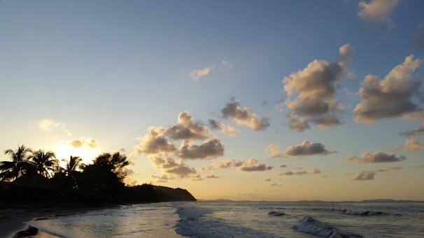 Serene palm beach at sunset with gentle waves and clear skies.