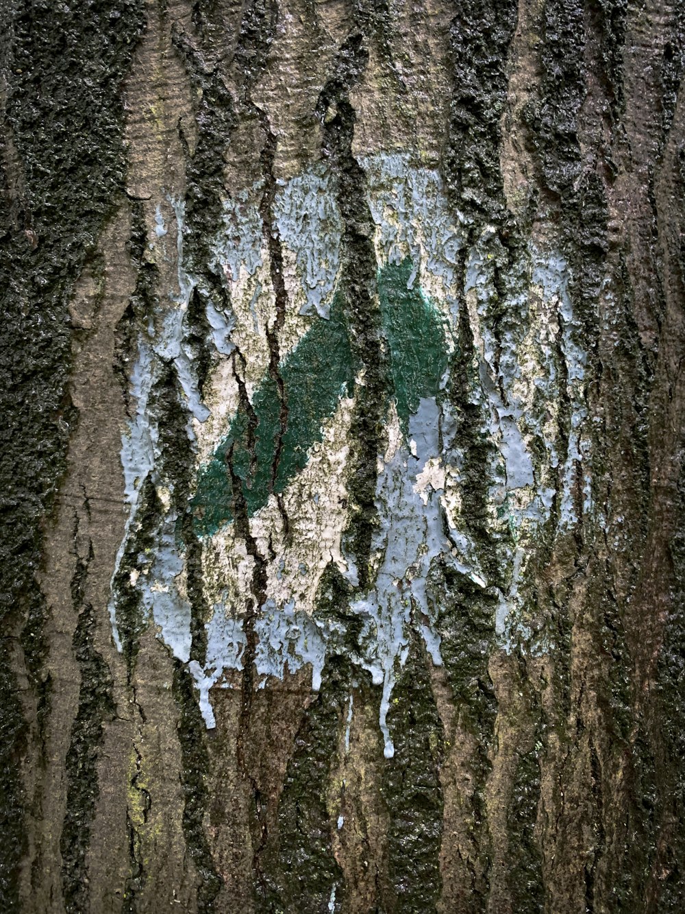 tronco de árbol marrón y verde