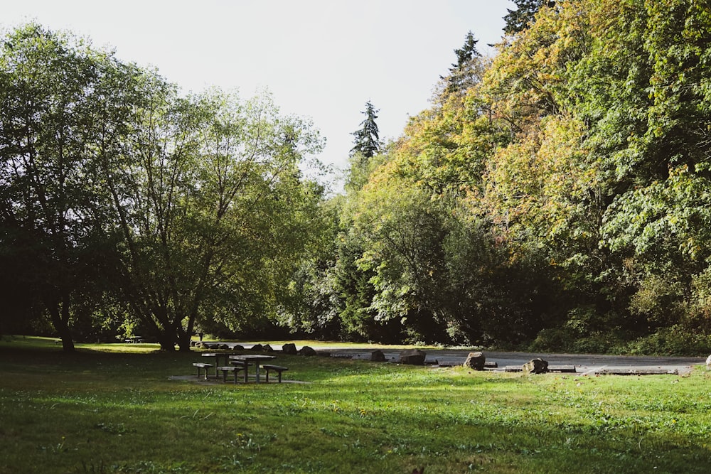 green grass field with trees