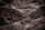 Wet, rough-textured stone surfaces are arranged in an irregular, interlocking pattern. The stones have a dark, almost black appearance with a glossy sheen due to water. The spaces between the stones are filled with lighter colored grout.