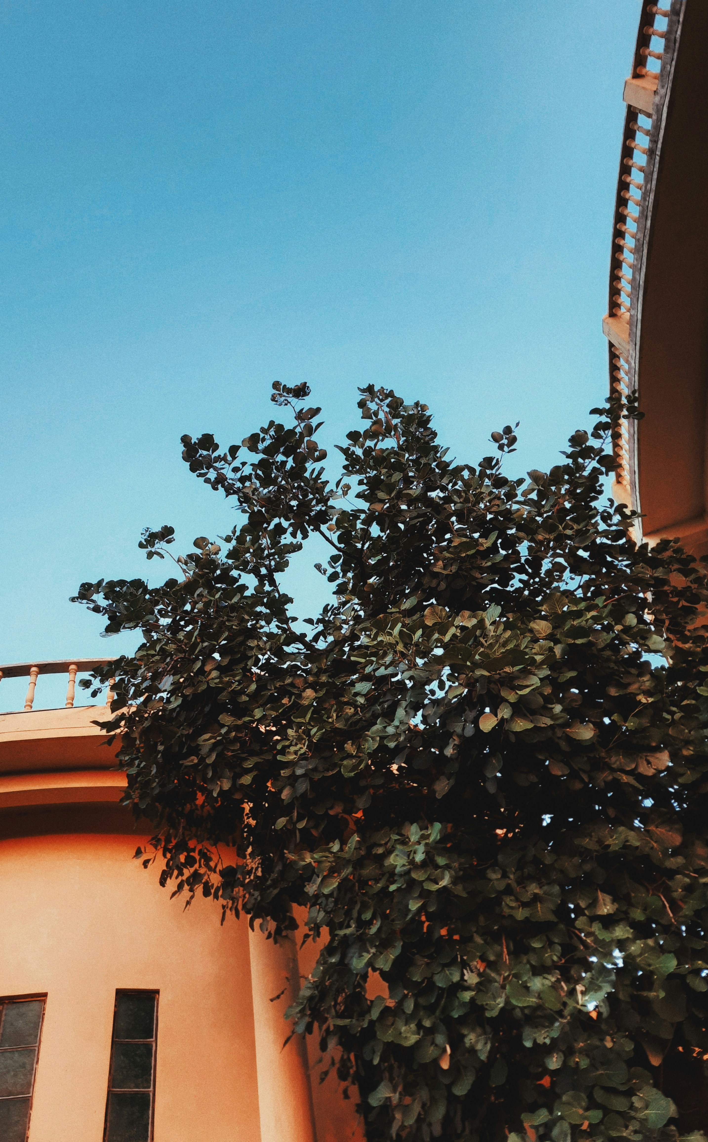 Photo by smile_with_me