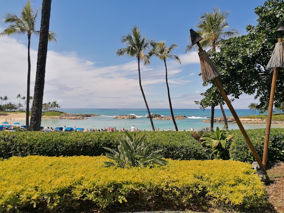 Hilton's Ka La'i Waikiki Beach LXR Announces 0M Renovation Here'… — Hilton's Ka La'i Waikiki Beach LXR