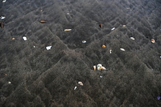 A close-up of sea minerals scattered on a wooden surface.