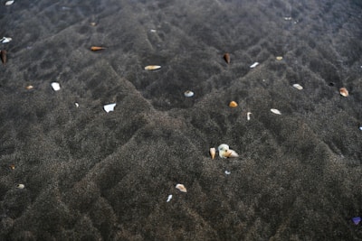 A close-up of sea minerals scattered on a wooden surface.