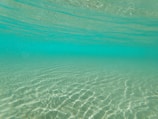 A captivating underwater view from a submarine.
