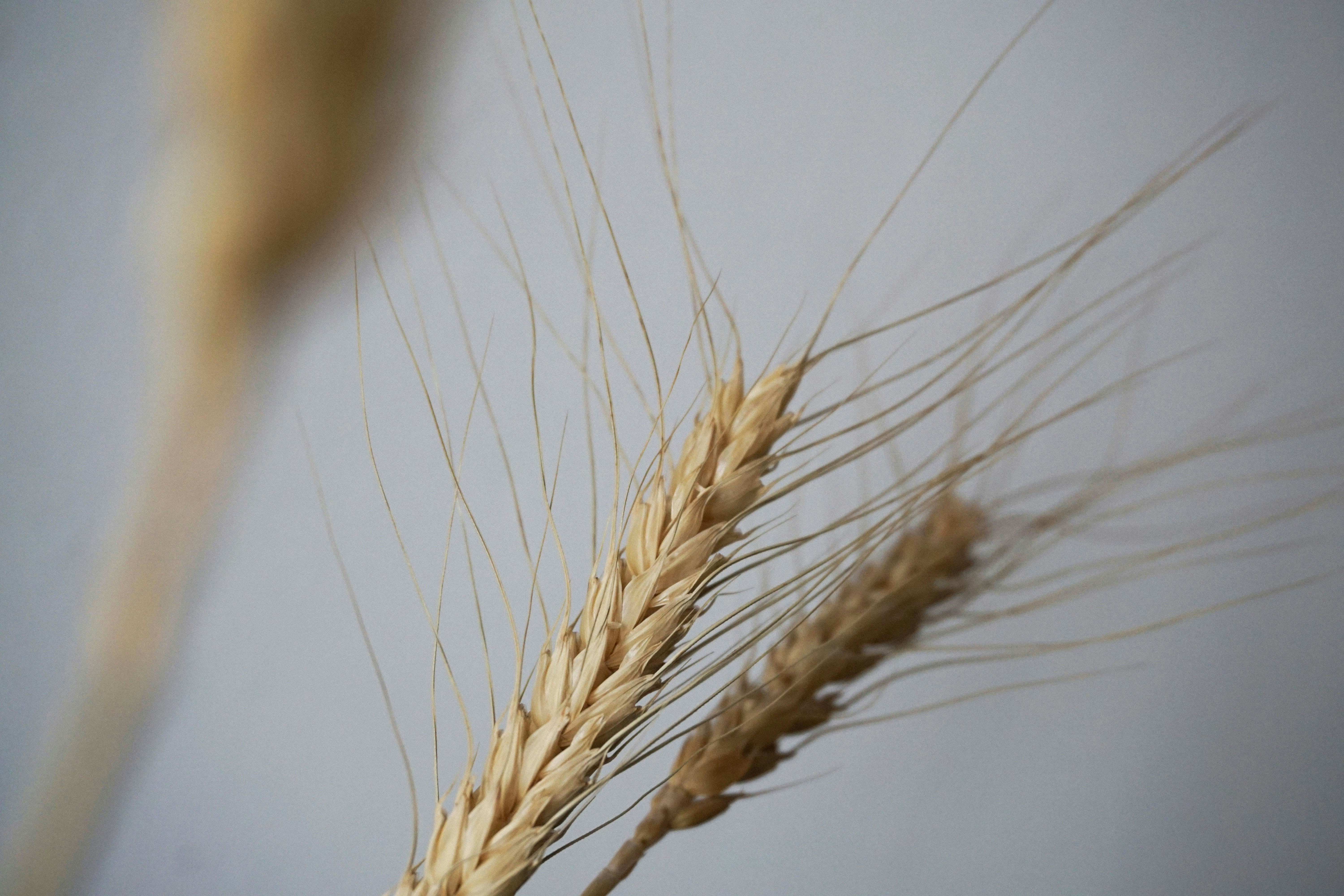 Photo by pongracznoemi