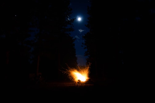 A moonlit campfire scene near the bear’s lair, with shadows dancing and a guitar resting against a log.
