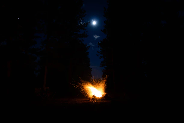 A small campfire glowing warmly in a Finnish forest clearing under a starry night sky.