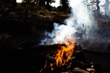 Bright orange flames and smoke rise from a campfire surrounded by rocks in a forest setting. The background is filled with green foliage and trees, dimly lit by indirect sunlight.
