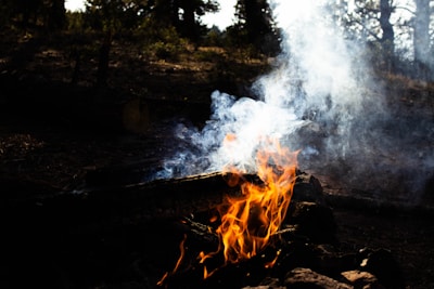 Bright orange flames and smoke rise from a campfire surrounded by rocks in a forest setting. The background is filled with green foliage and trees, dimly lit by indirect sunlight.