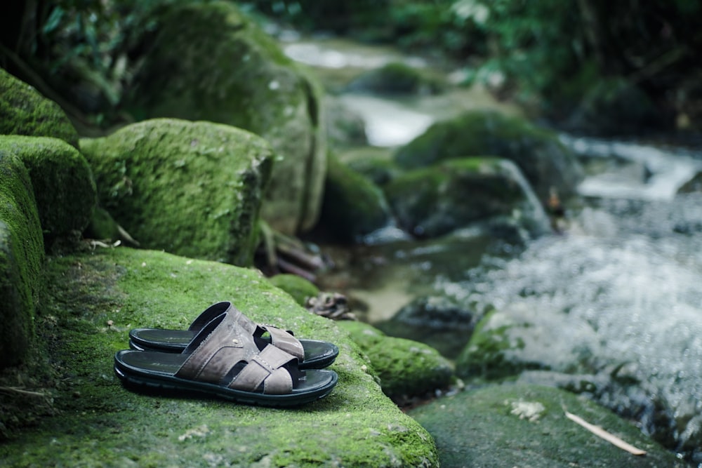 black and brown hiking sandals on green moss