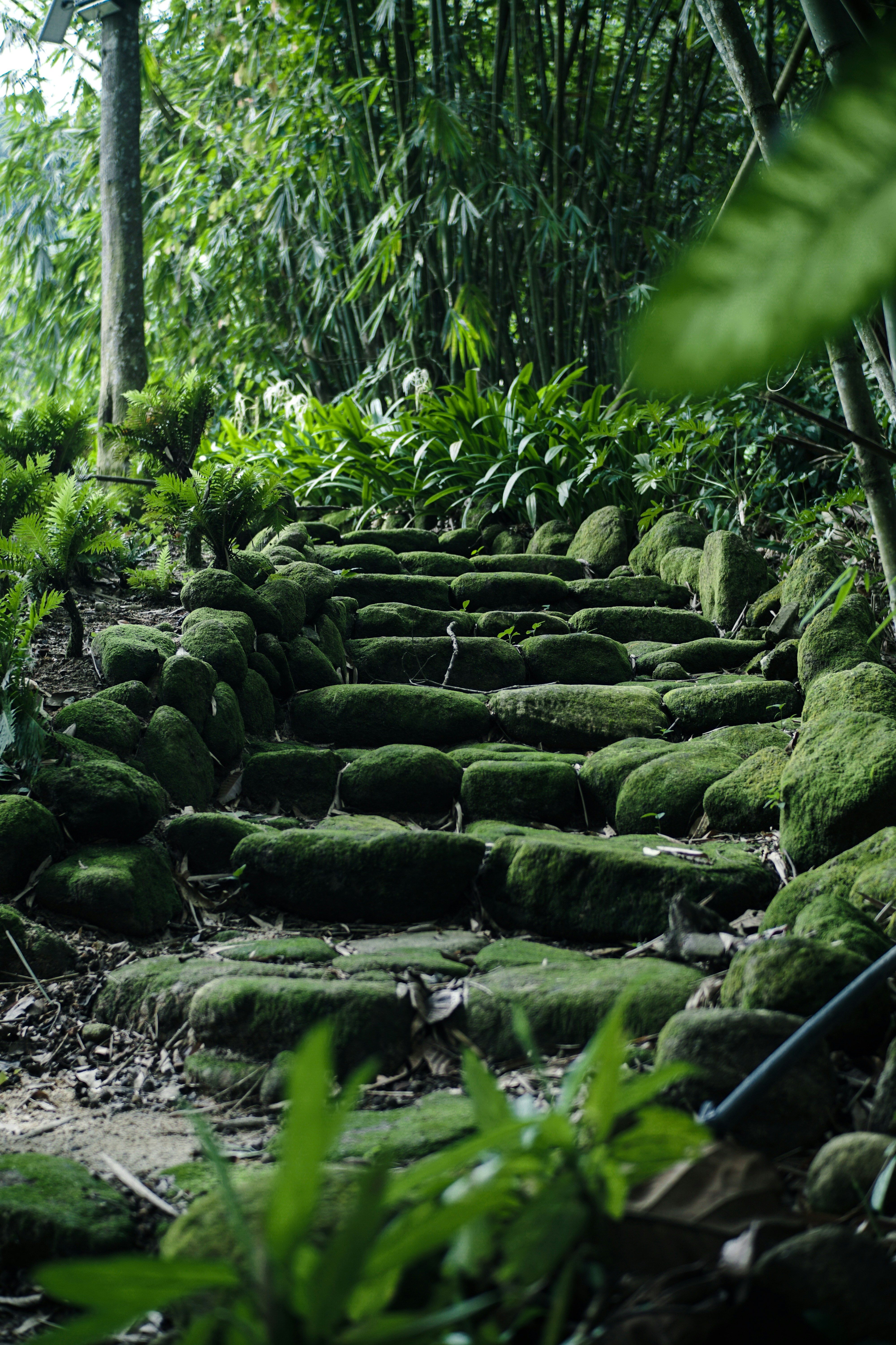 Photo by ammarzainal91