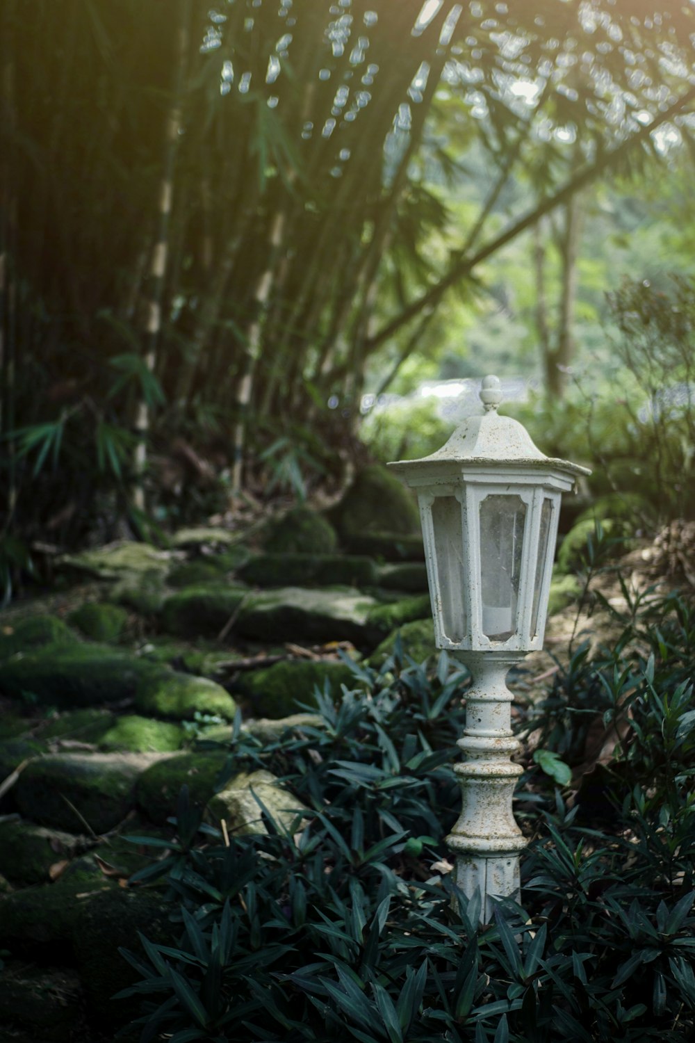 white lamp post on green moss