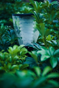 Modern outdoor lighting illuminating a lush garden with trees and flowers.