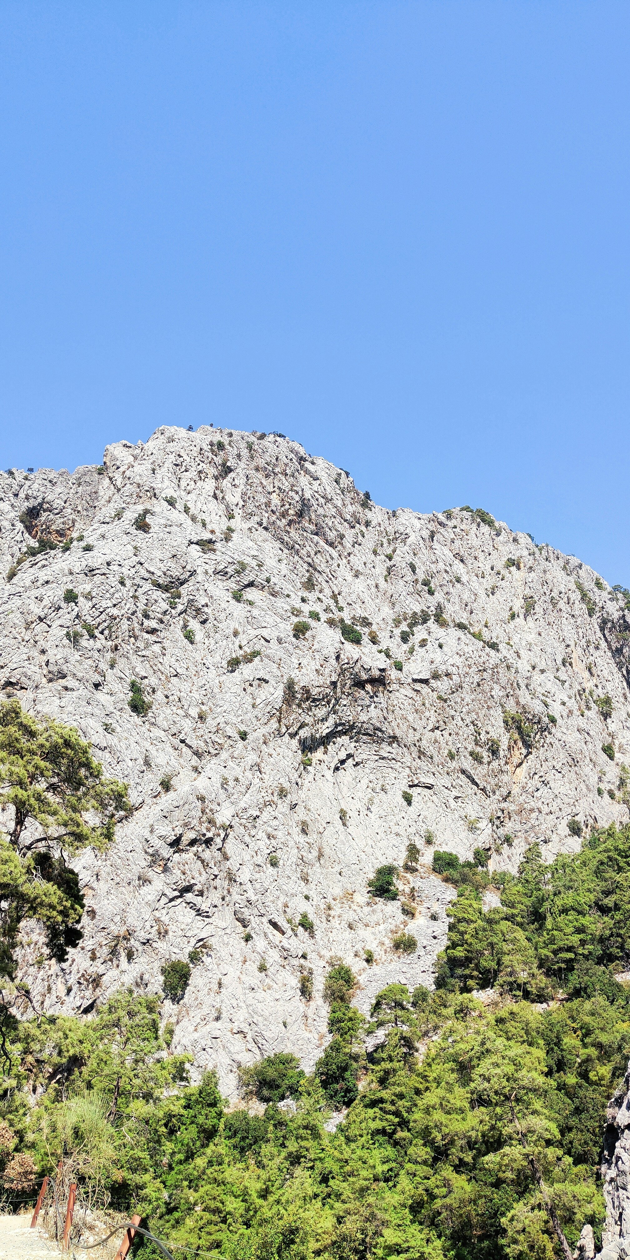 Photo by kate_sakhno