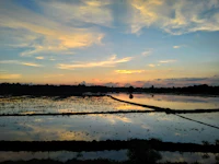Top Museums and Historical Sites in Bardhaman That Are Actually Interesting