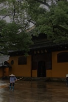 A person wearing a wide-brimmed hat and rubber boots is sweeping a wet stone courtyard in front of a traditional building with orange walls and wooden details. Overhead, large green trees create a canopy, adding a serene atmosphere to the scene.