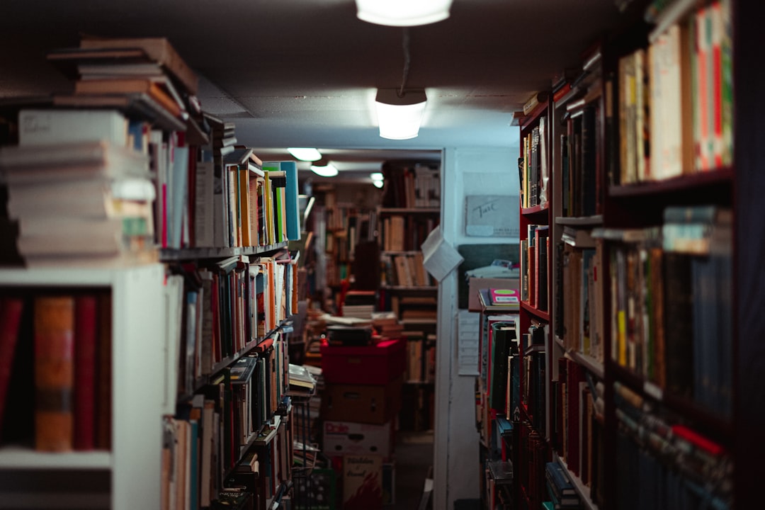 books on shelves inside room
