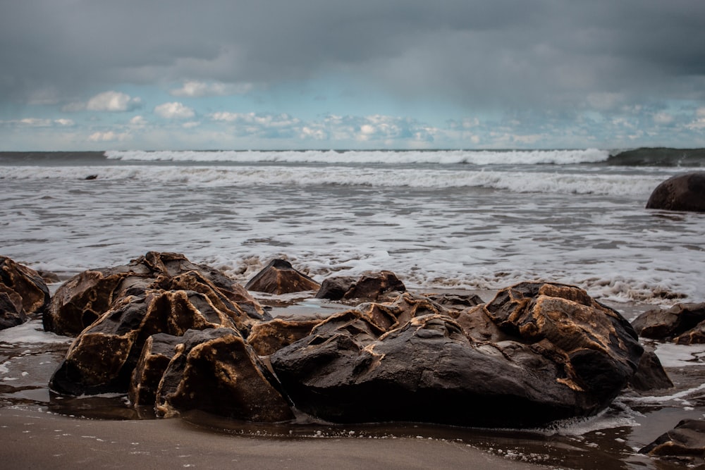 brown and black rocks on seashore during daytime