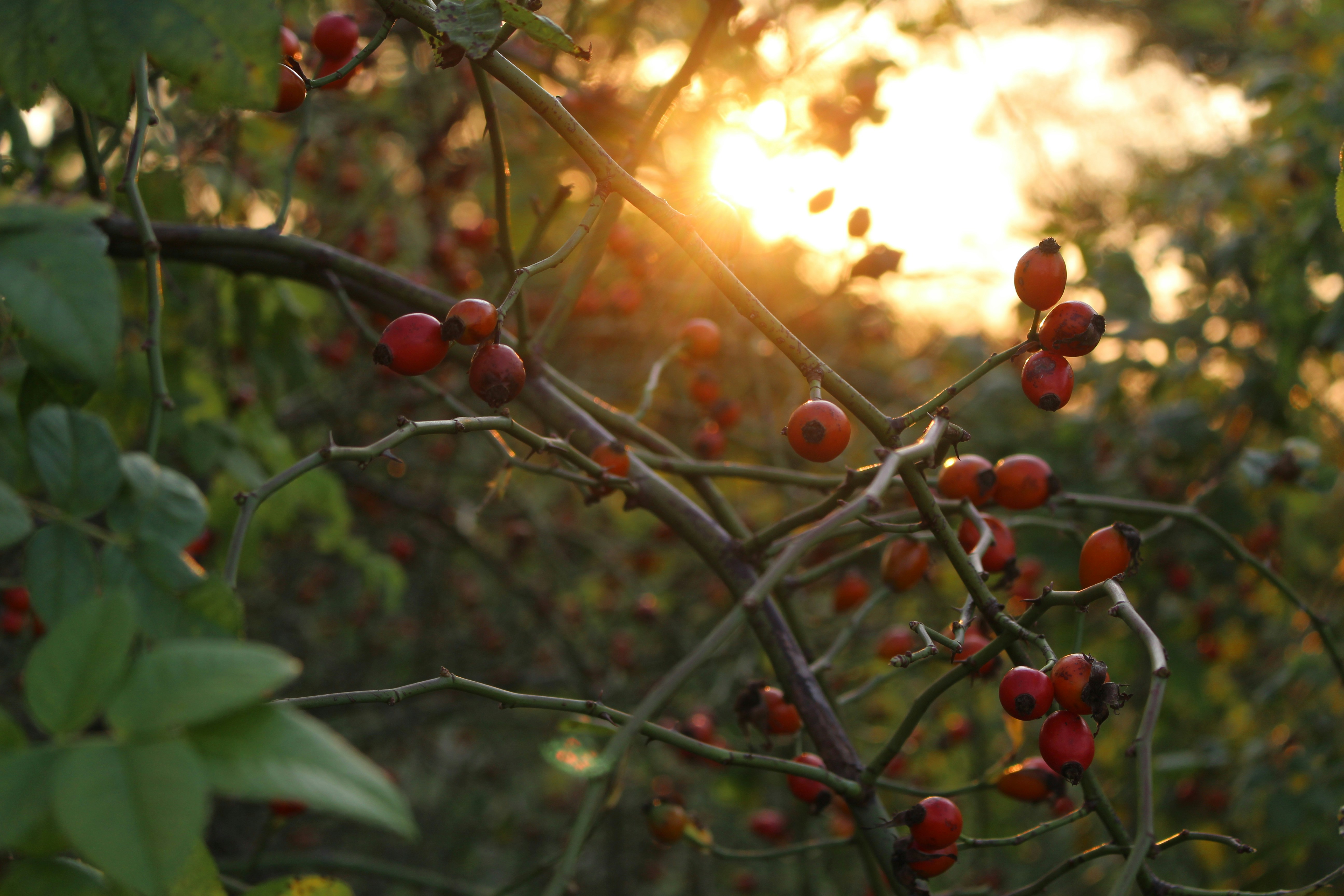 Photo by marjorylucabaxter