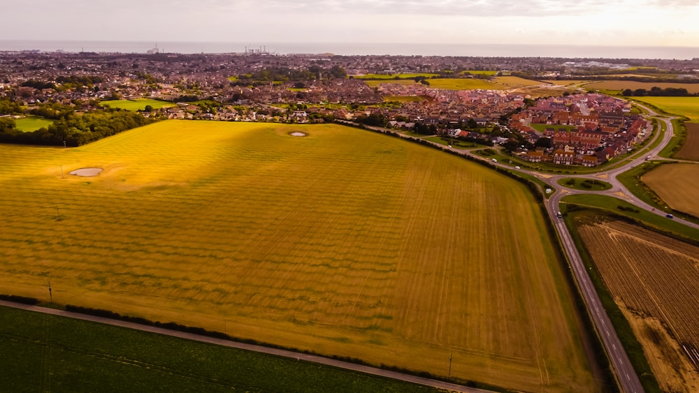 green grass field during daytime