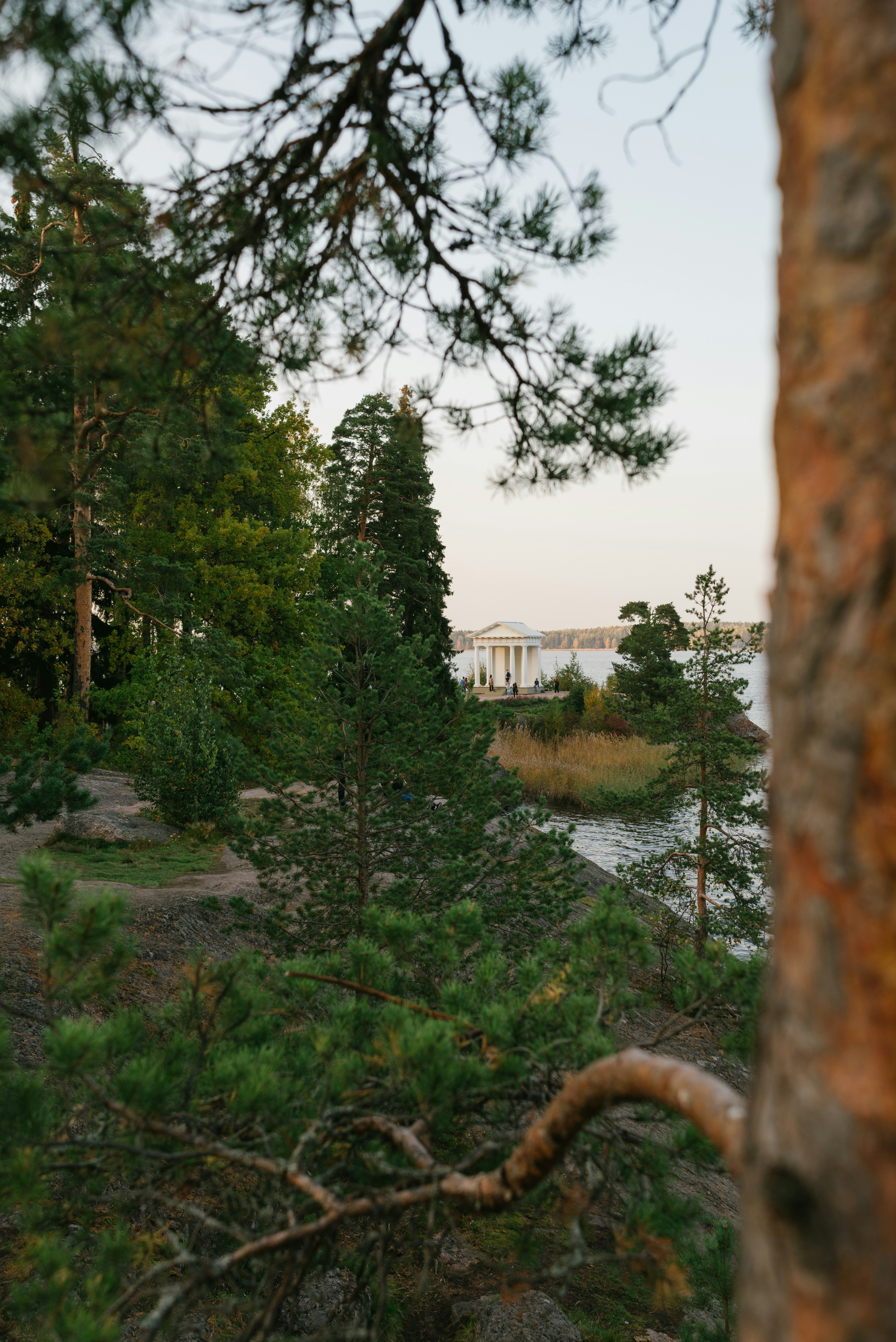 Comfortable Day Trip (€80–€120 per person)