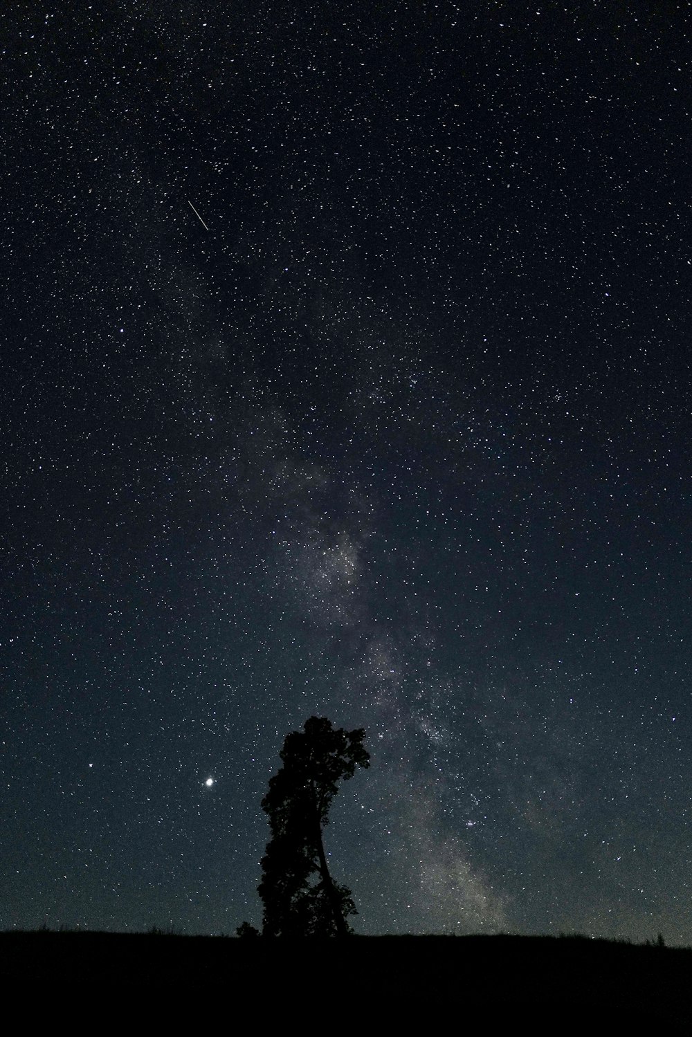 silhouette of man standing under starry night