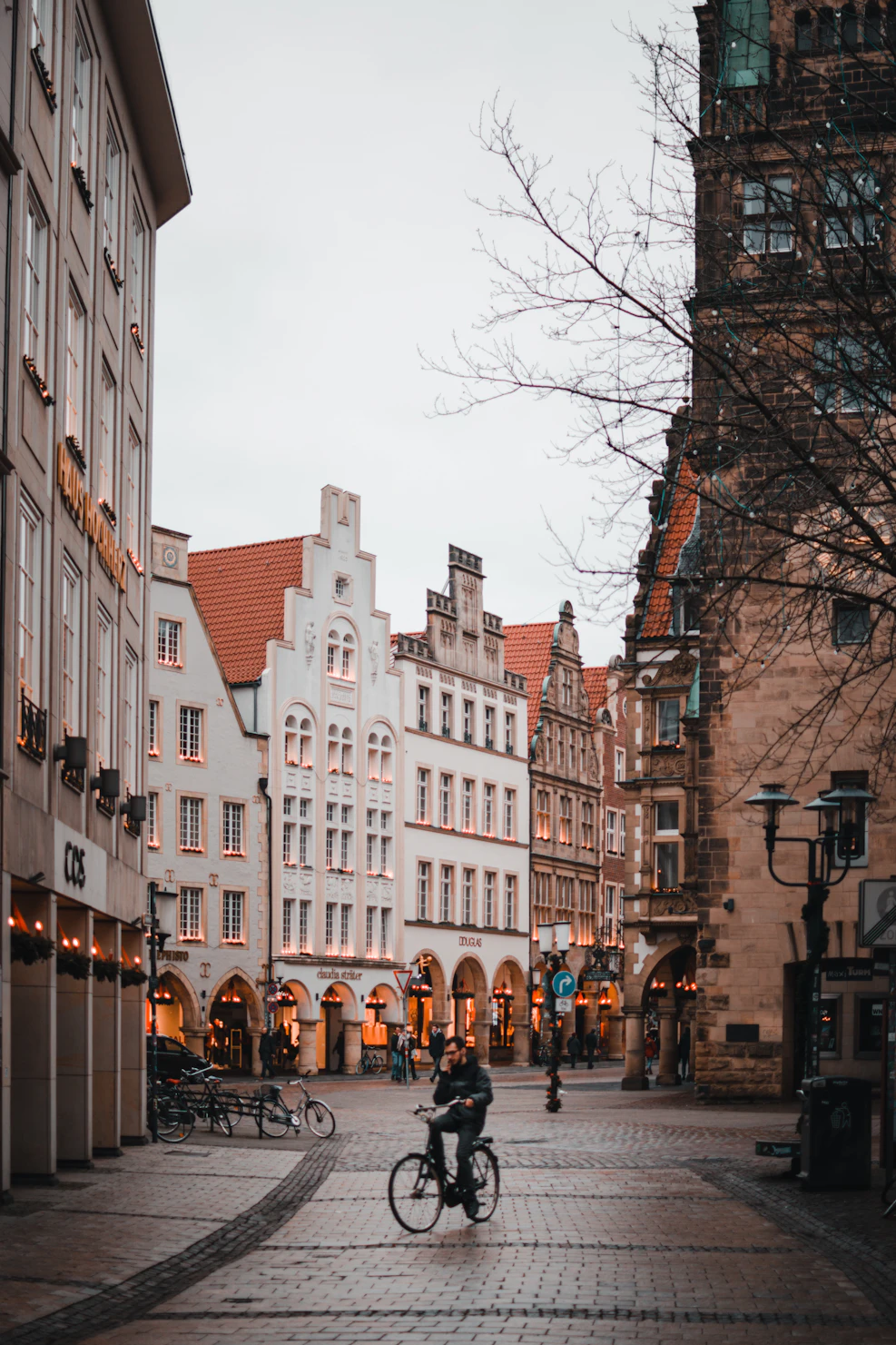 Bonn Münster – SEO Agentur Bonn