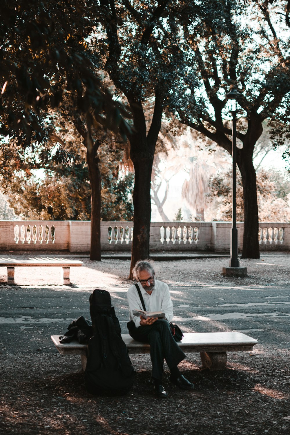 woman in white long sleeve shirt sitting on bench near trees during daytime