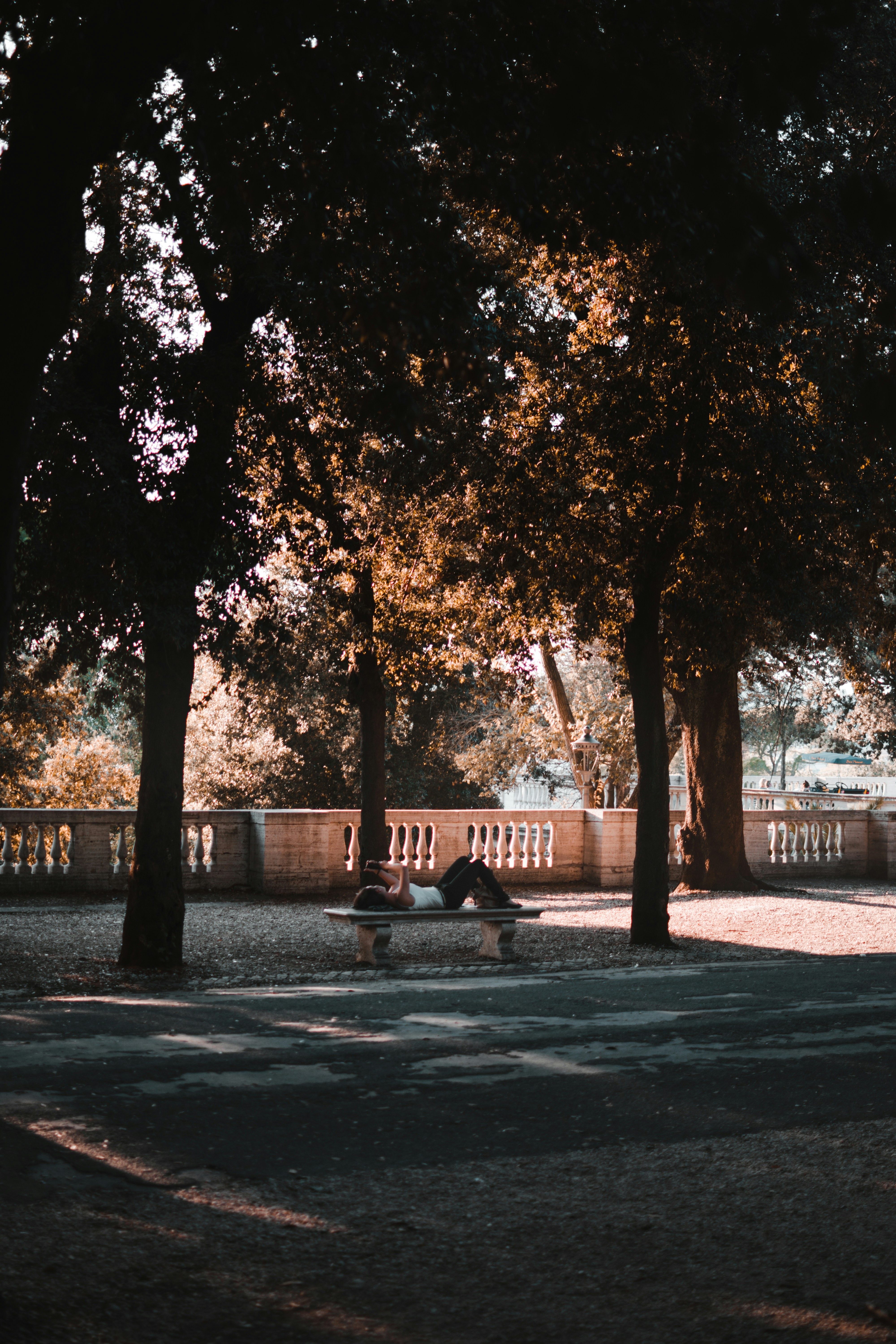 Photo by reinhartjulian