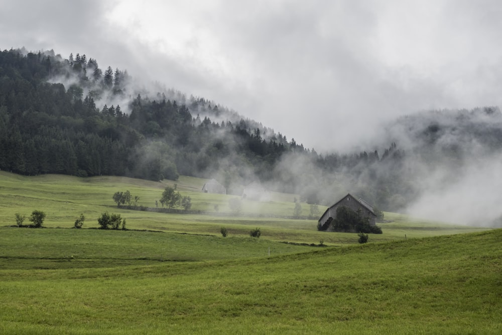 green grass field near house during daytime