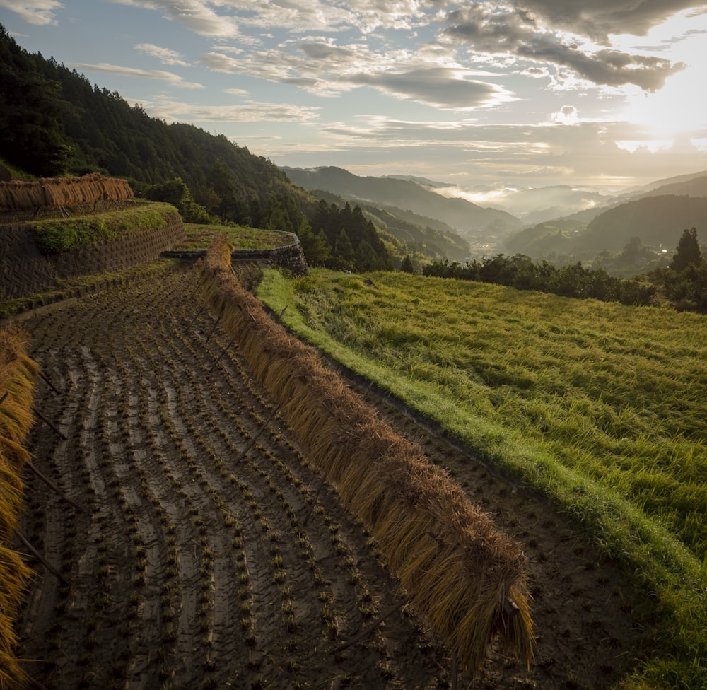 green grass field and mountains during daytime