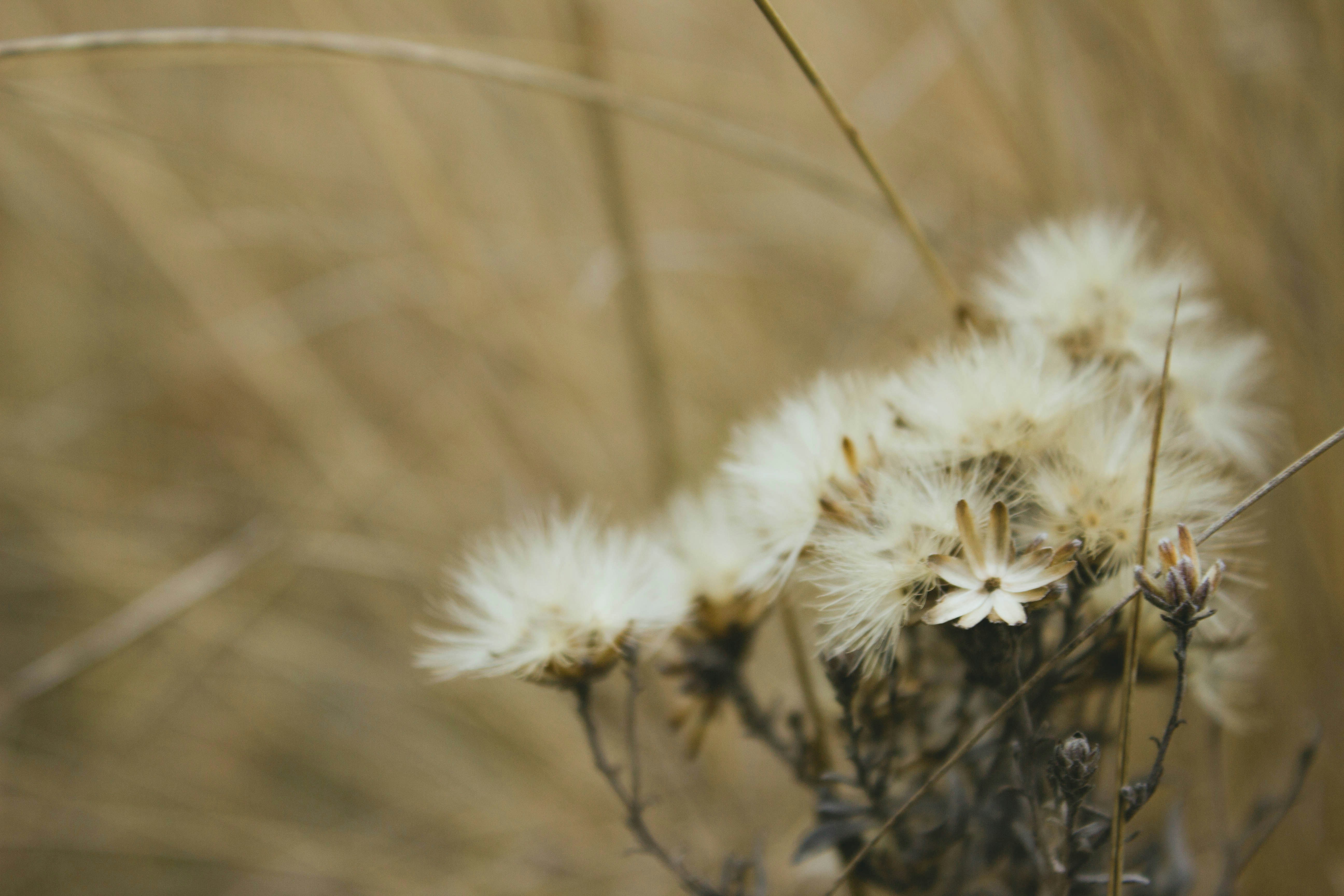 Photo by annasbond