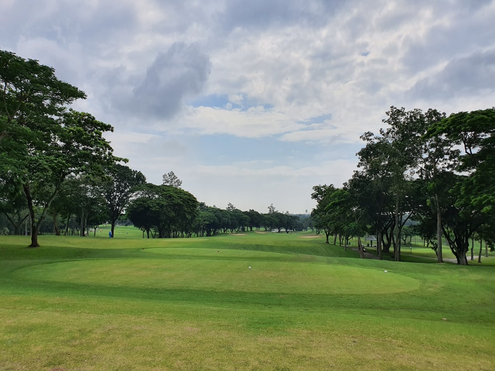 green grass field with trees under white clouds during daytime